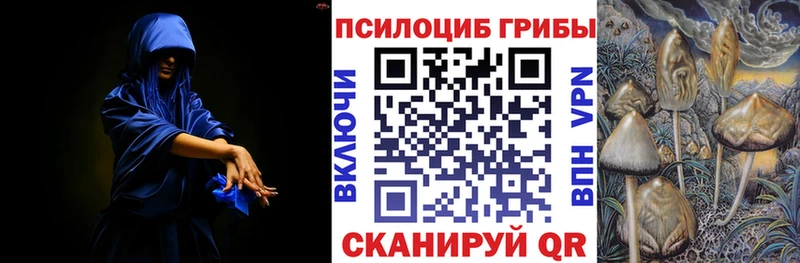 Псилоцибиновые грибы Magic Shrooms  Купить закладки  Тихорецк 